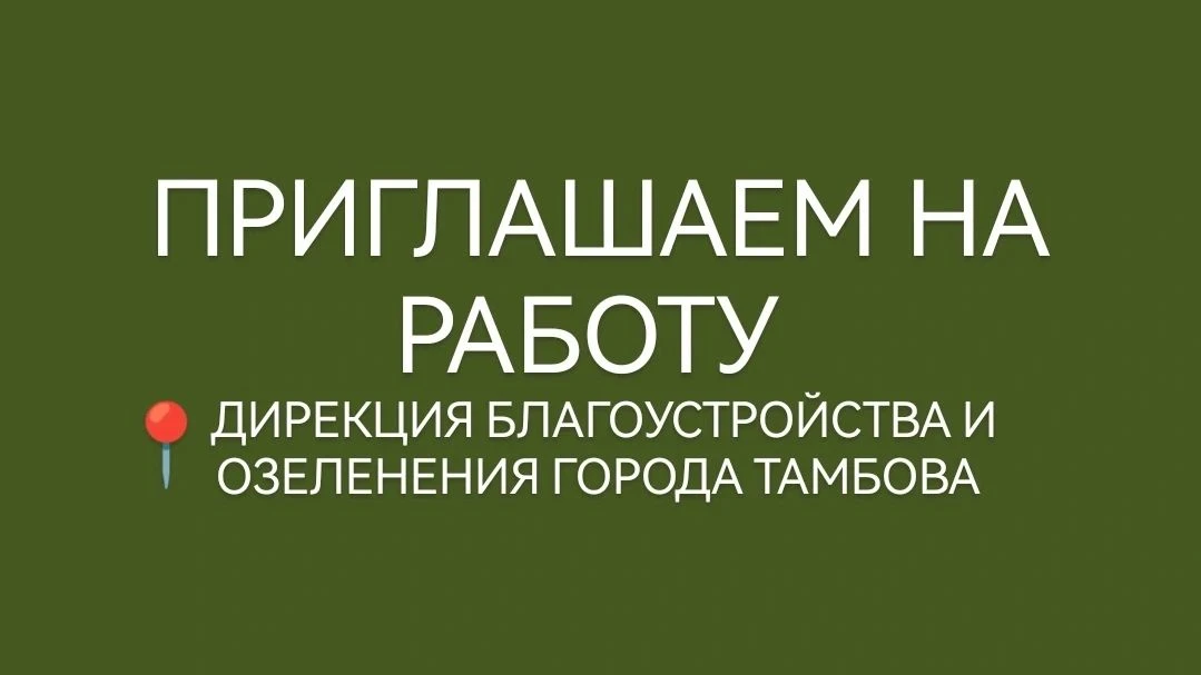 Добрый день!🌿