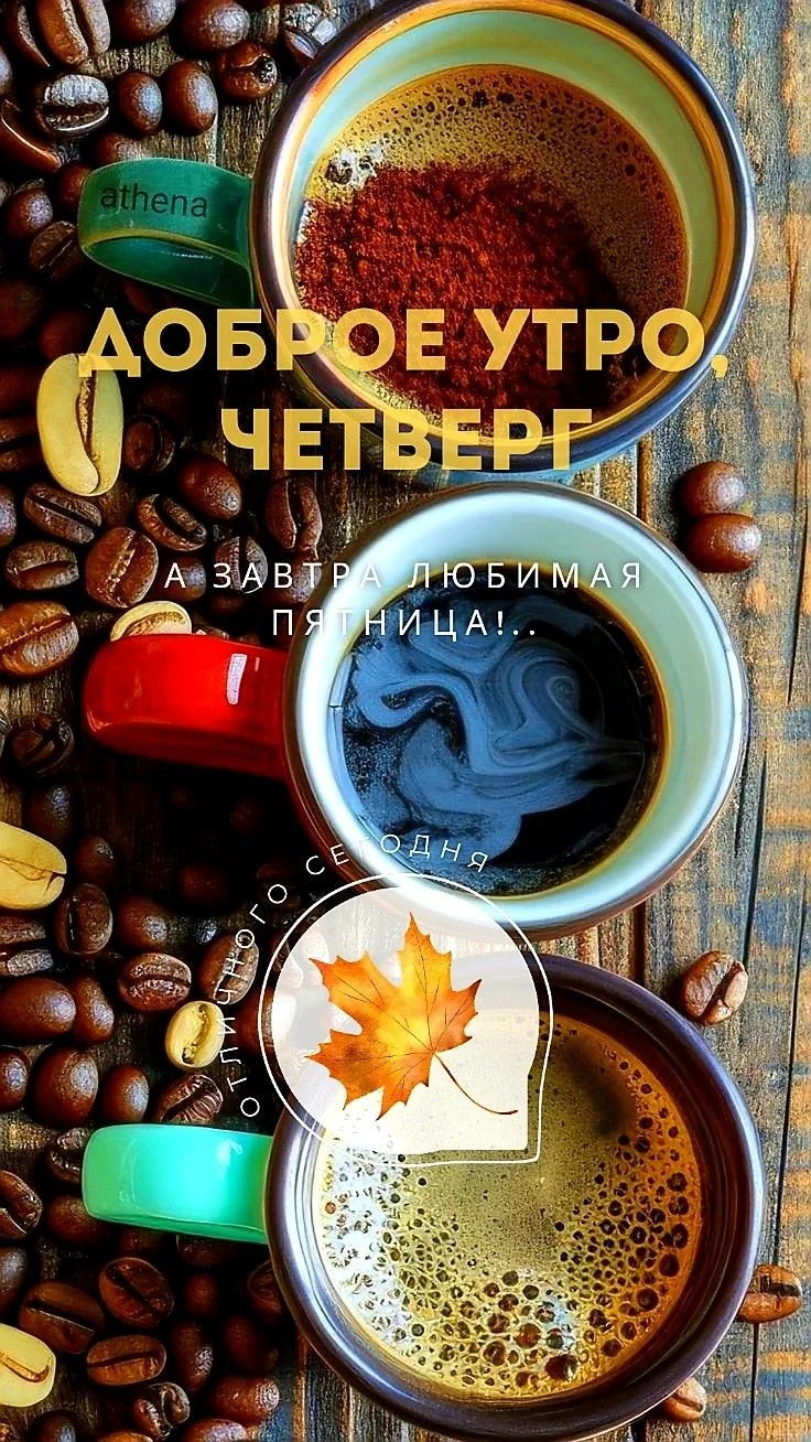 https://max.ru/invista123456