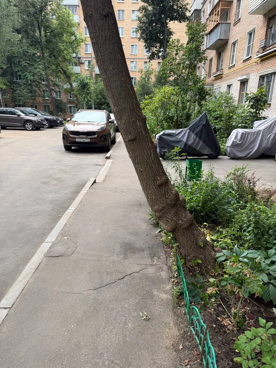 Соседи в Староватутинском, 1, пытались избавиться от дерева, о которое они постоянно бь...
