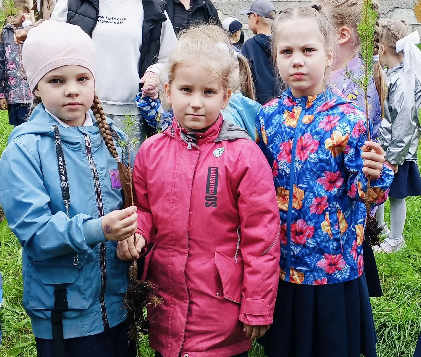 🌿 «Первоклассное дерево»: соединяем начало пути и заботу о будущем 🌿