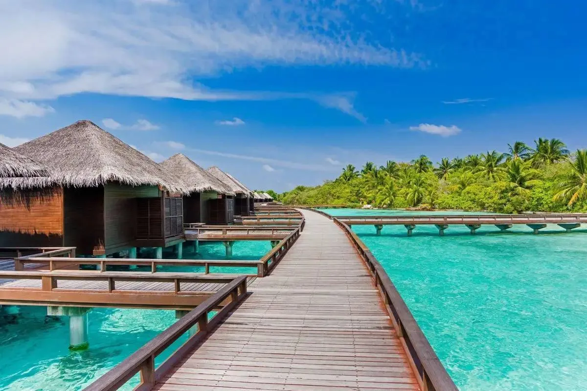 5* на Мальдивах по невероятно низкой цене☀️🌴