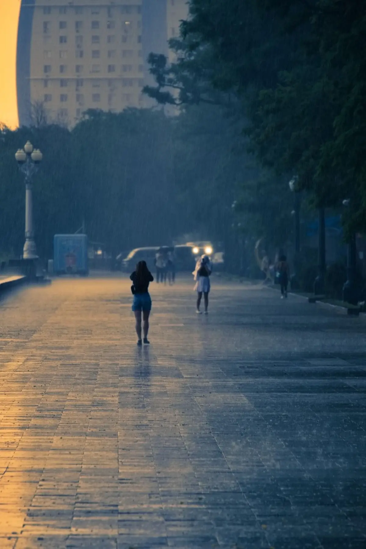 ⛈️В Воронежской области продлили штормовое предупреждение: грозы, ливни и ветер до 20 м/с