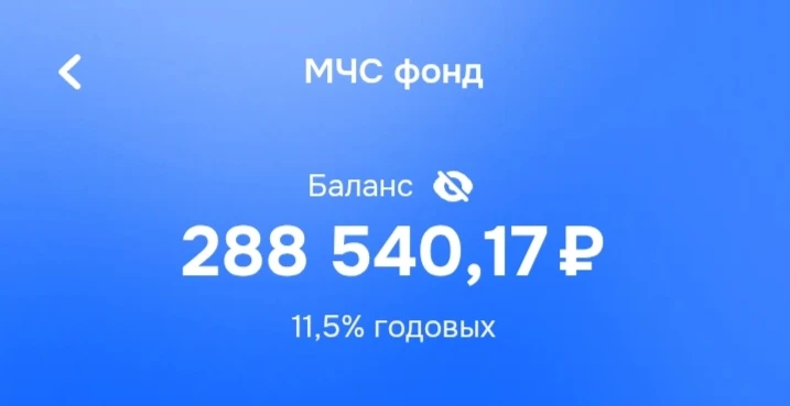 Как мы создали финансовую подушку?