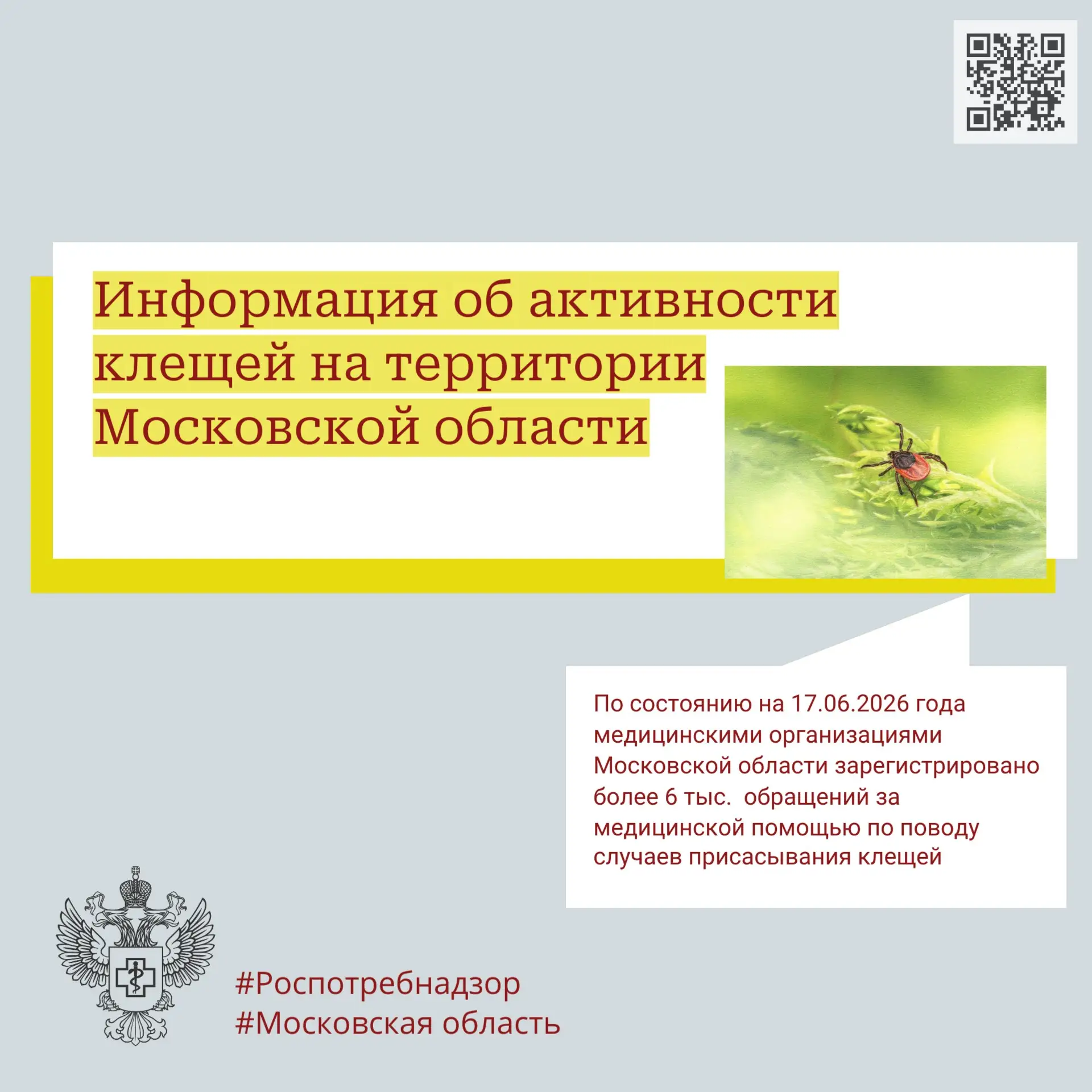 Управление Роспотребнадзора по Московской области информирует об активности клещей на территории Мос