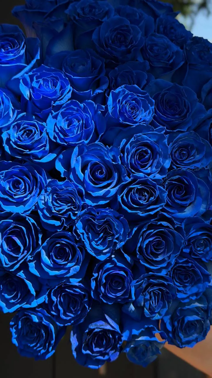 Синие розы 💙
Она точно удивится 

С бесплатной и быстрой доставкой в любую точку города