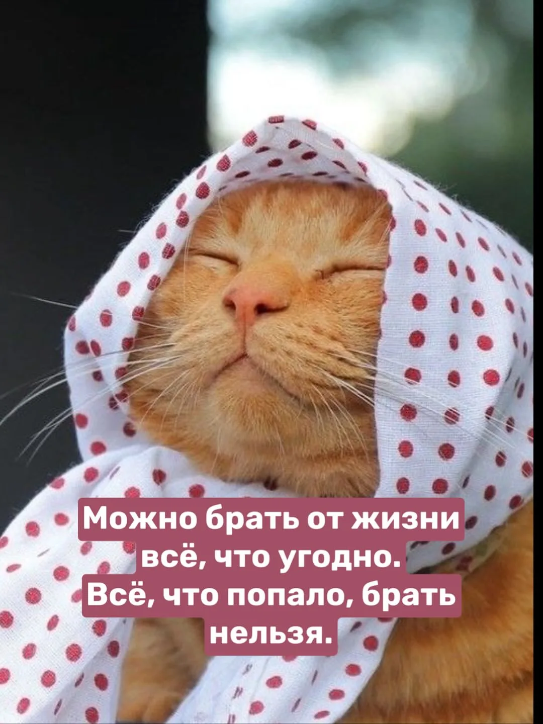 😍 ОтКрытка ОтДуши❣️

💯