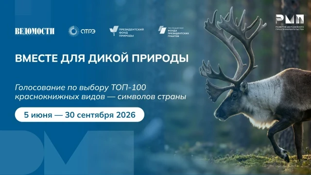 Вместе для дикой природы 🐢