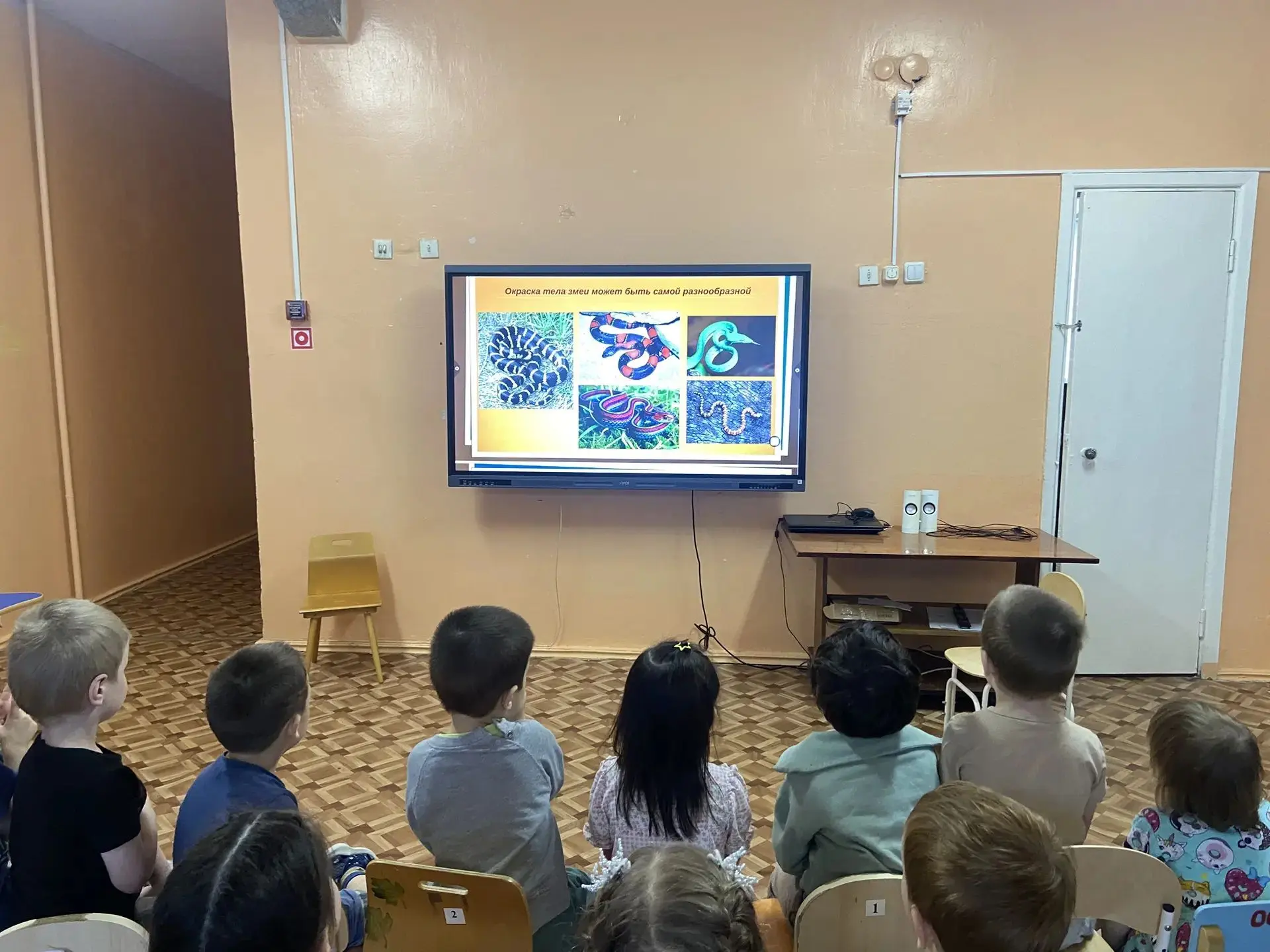 ✔️16 июля - день змей 🐍

🌍️Ребята отправились в удивительное путешествие в мир змей — и узнали сто