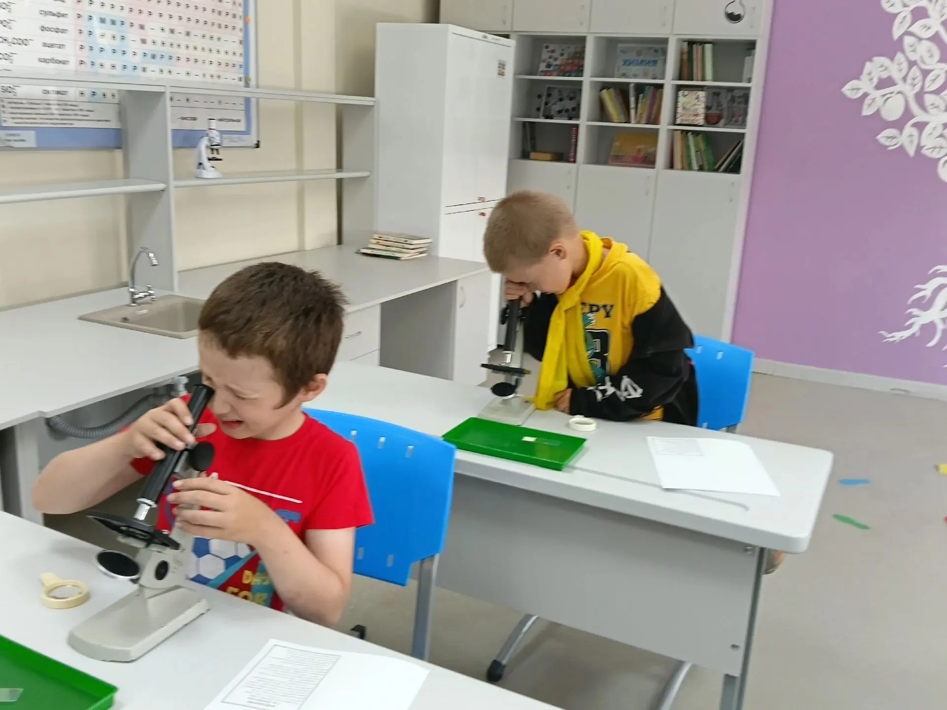 Лето — время открытий в центре «Точка Роста»! 🚀 Ребята развивают естественно-научные  навыки.
  
  
