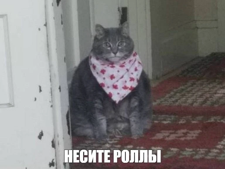 Роллы, кофе и сыр вызывают зависимость сильнее сахара, — врачи.  По словам медиков, при отказе от эт
