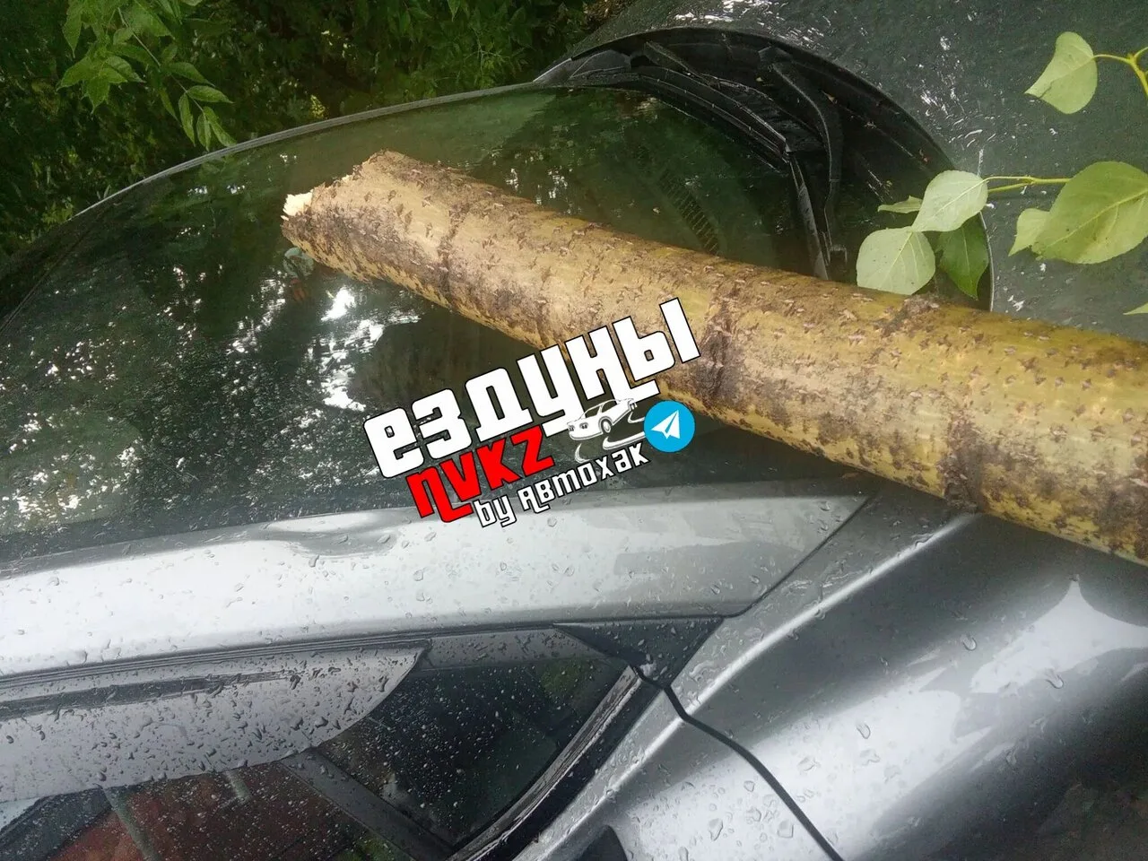 Кутузова 70.