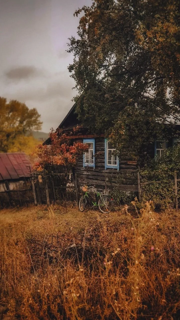 Доброй ночи🤎💚🧡