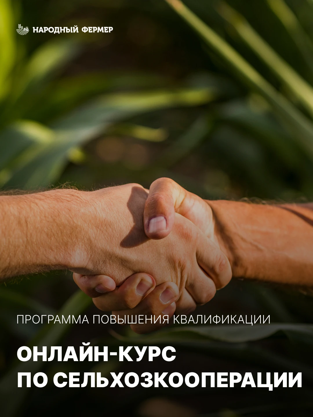 🌻 Онлайн-курс по сельхозкооперации