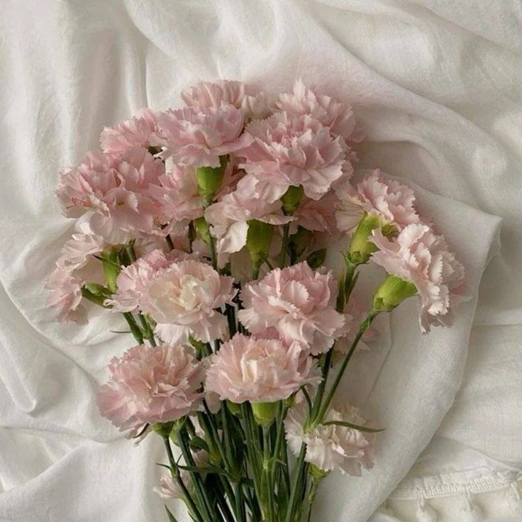@drygtl