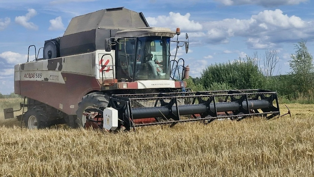 Колхозные итоги двух третей года 🚜