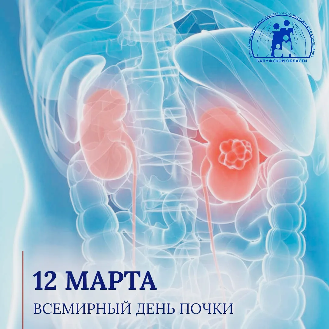 Сегодня отмечается Всемирный день почки.