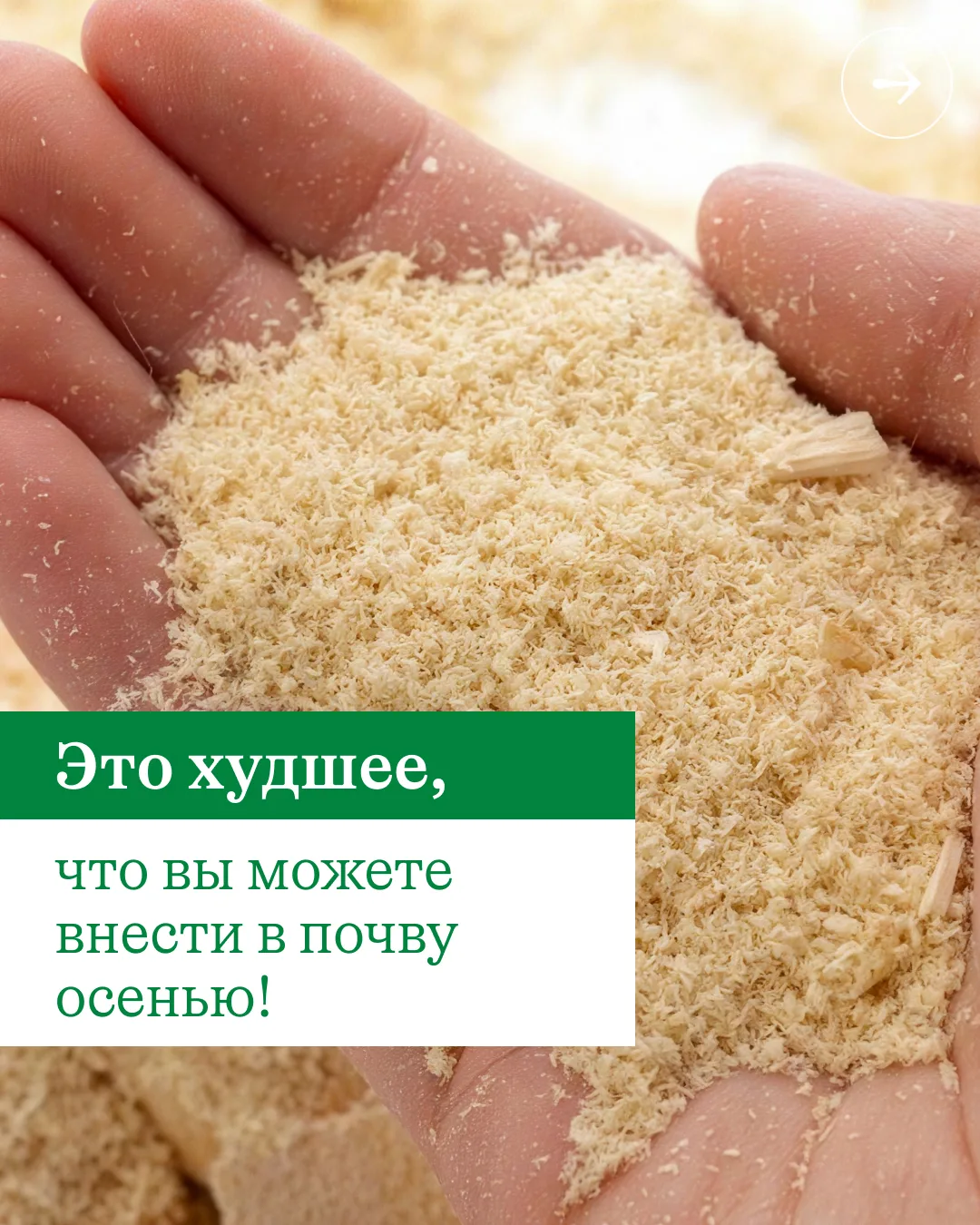 📌 От опилок будет гораздо больше пользы в саду и огороде, если сделаете так!