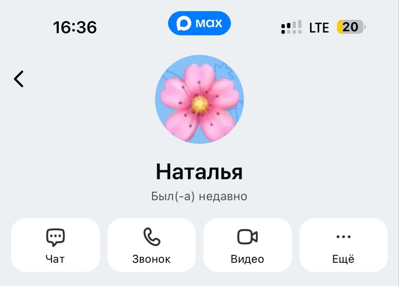 ПОБЕДИТЕЛЬ 🏆