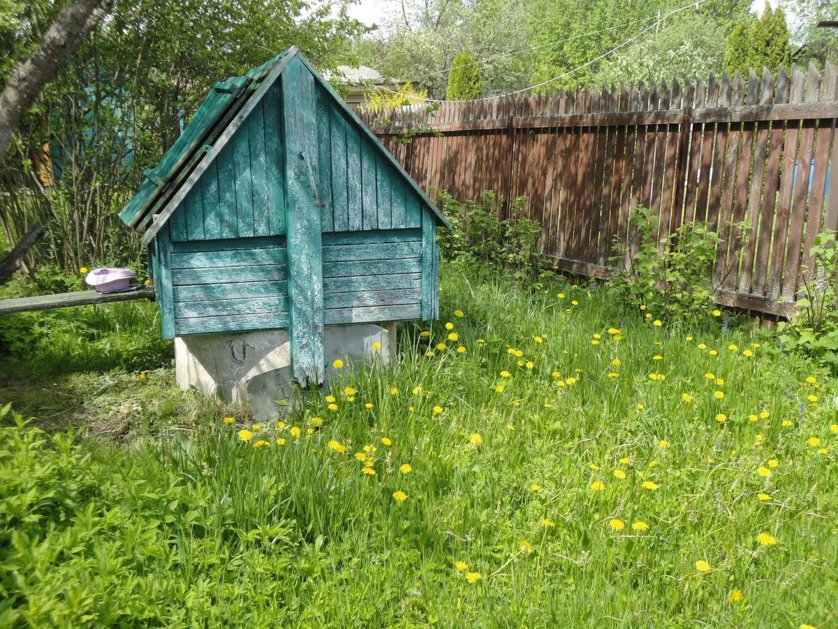 Откуда берутся сорняки? Пути их проникновения на участок и тактика борьбы - [контакт скрыт]

По сути