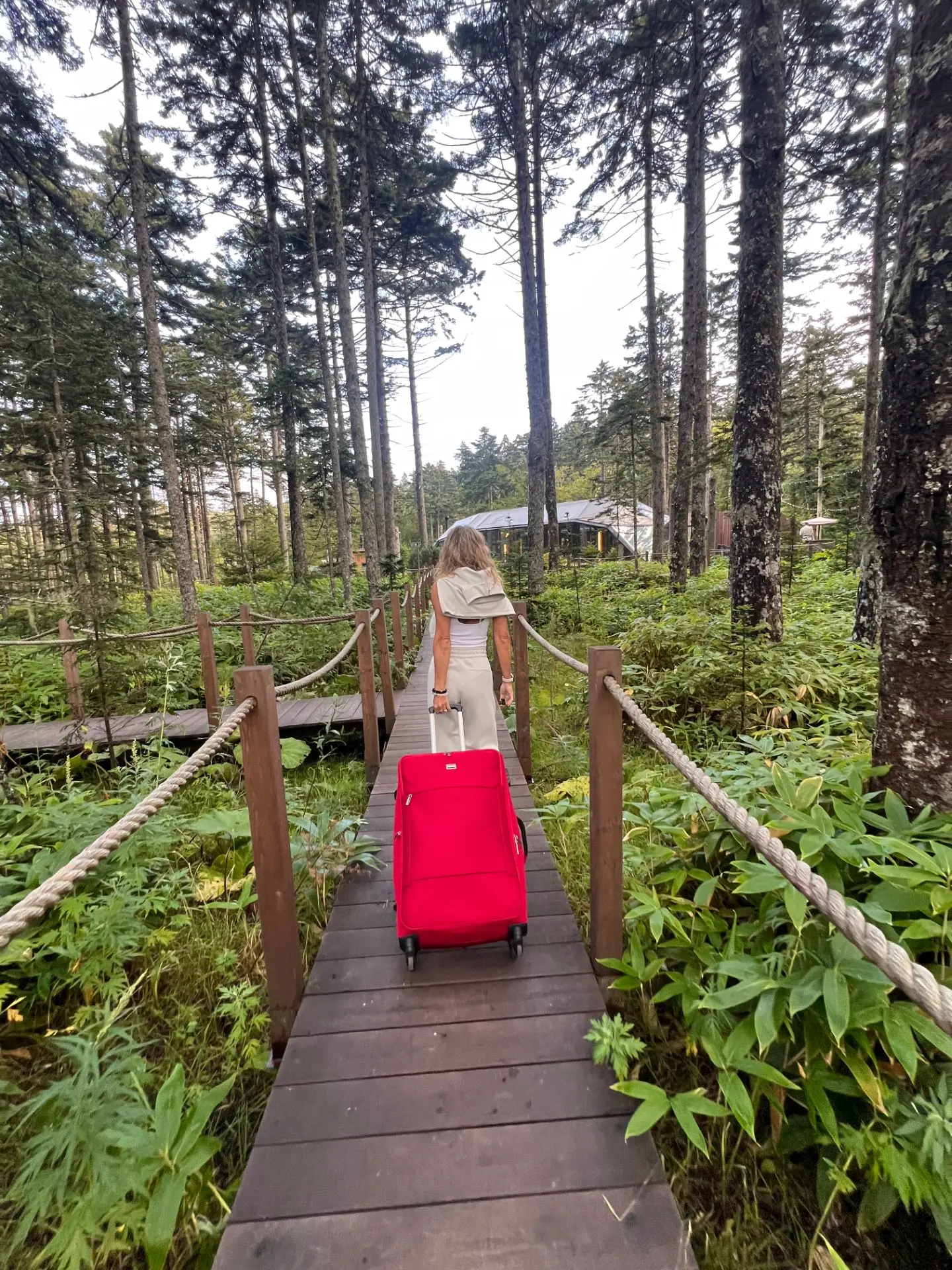 Ребята, СРОЧНО🔥