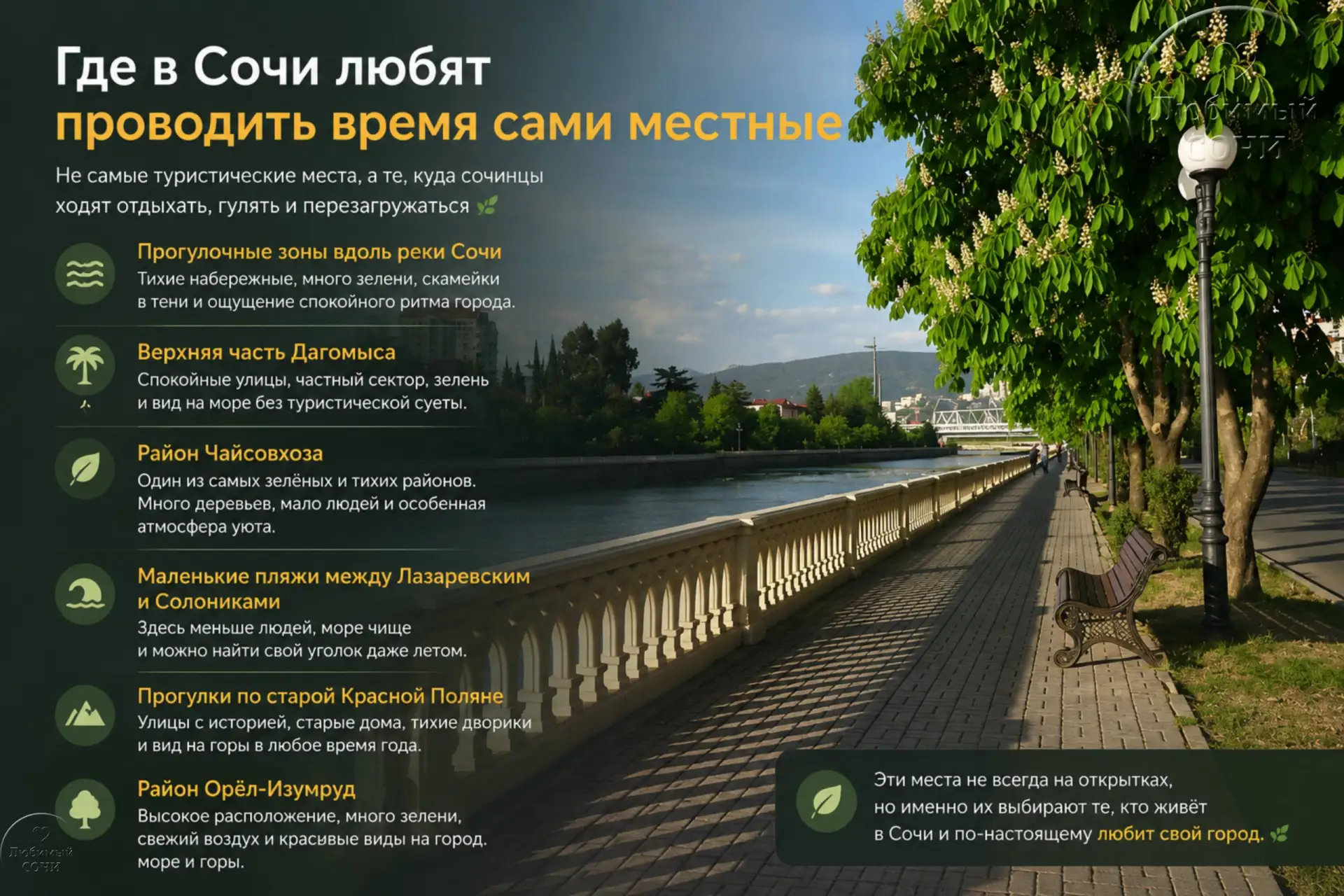 Где в Сочи любят проводить время сами местные