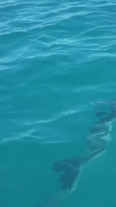 Всем морской привет из  Адлера 🌊