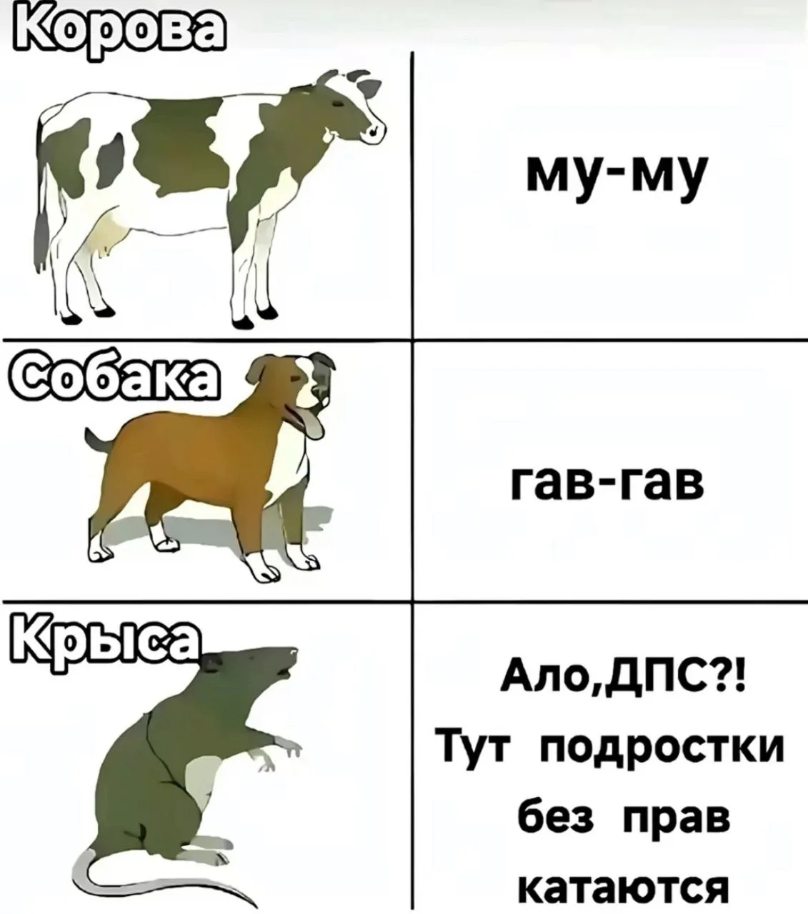 Звуки животных:
