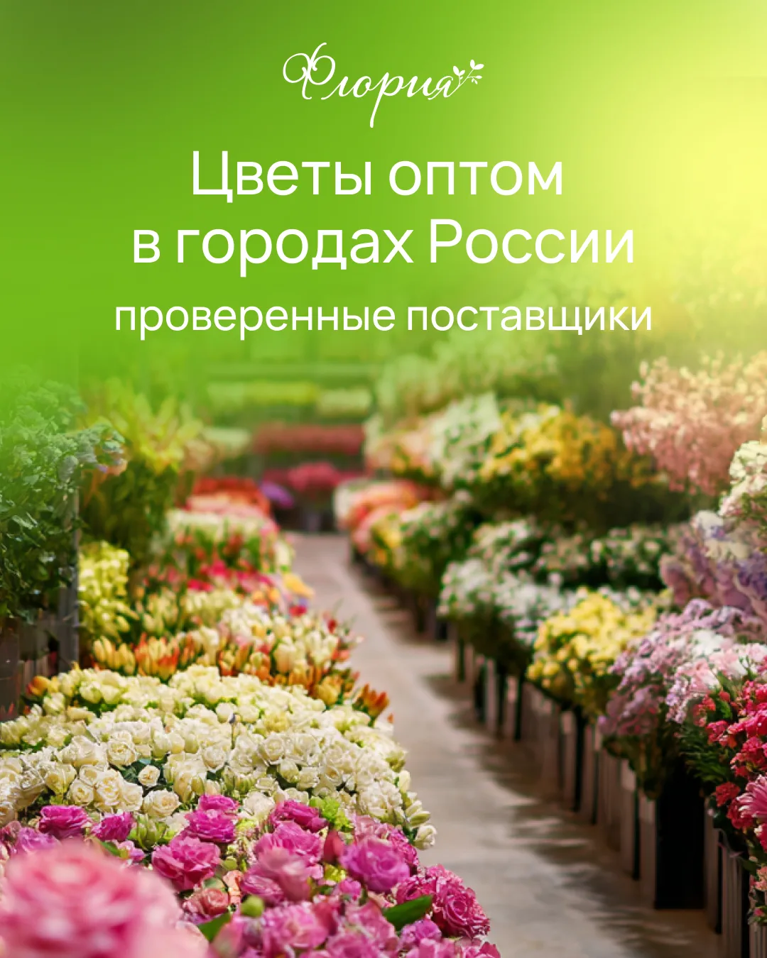 Ищете оптовых поставщиков цветов?