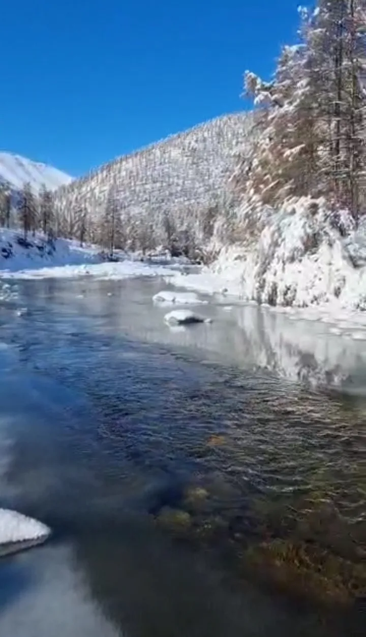 Доброе утро!