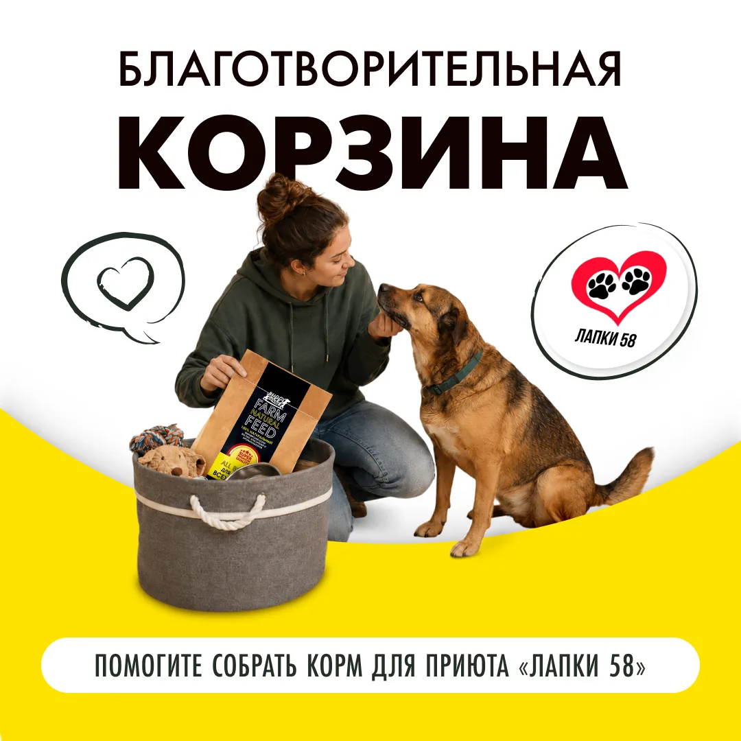Через 4 часа заканчивается «корзина помощи приютам» для приюта Лапки 58, г. Бессоновка.
 
Благодаря 