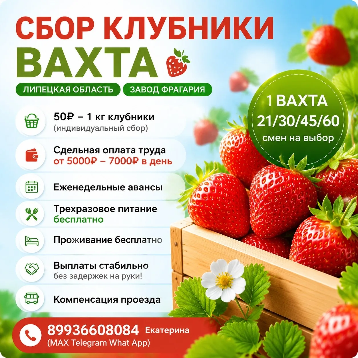 🌞 Добрый день!