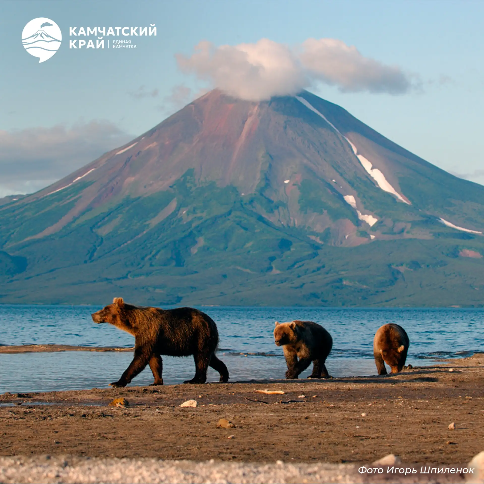 🏔️ 5 причин увидеть кордон «Озёрный»

Главная точка притяжения в Южно-Камчатском заказнике — место,