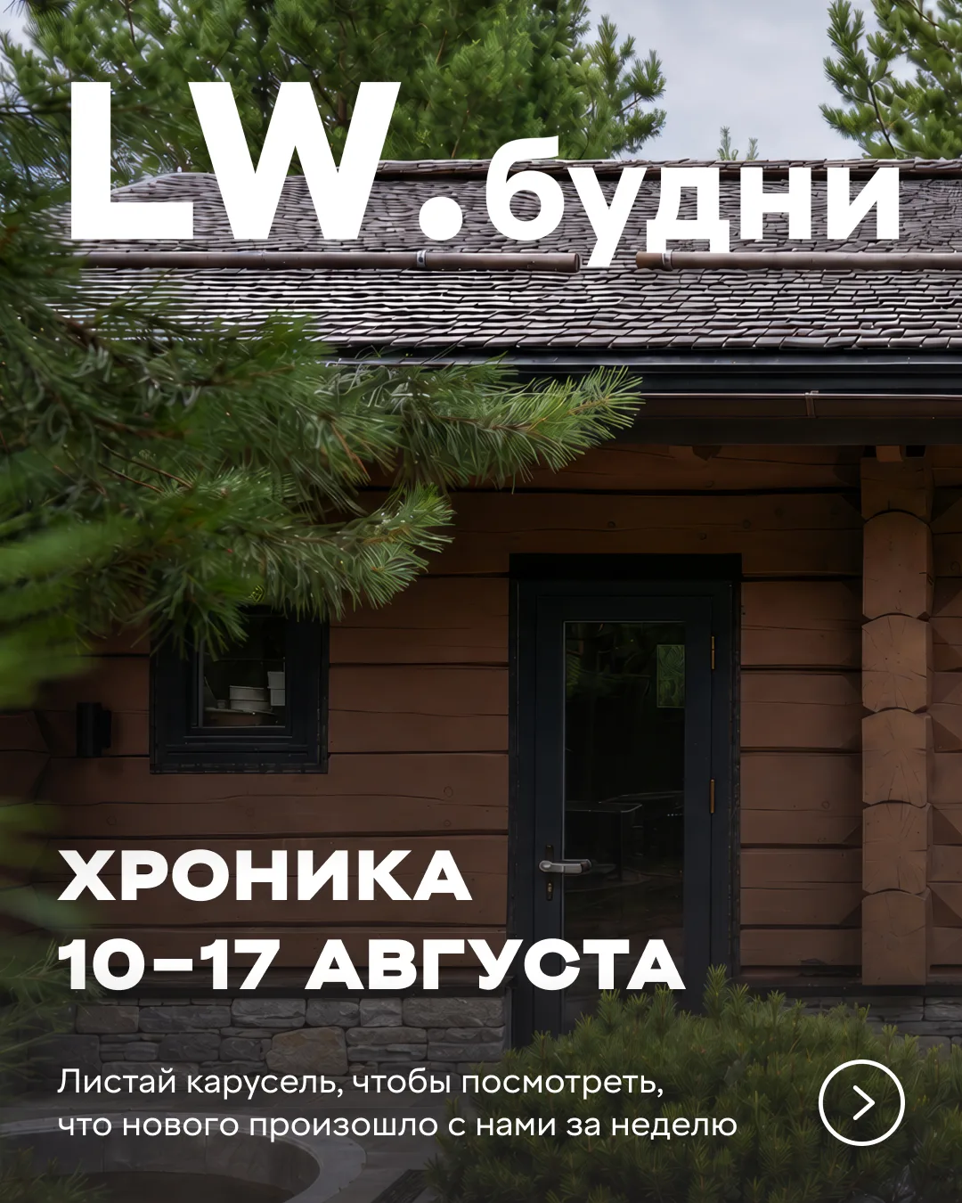 🗓 Хроника за неделю 10–17 августа