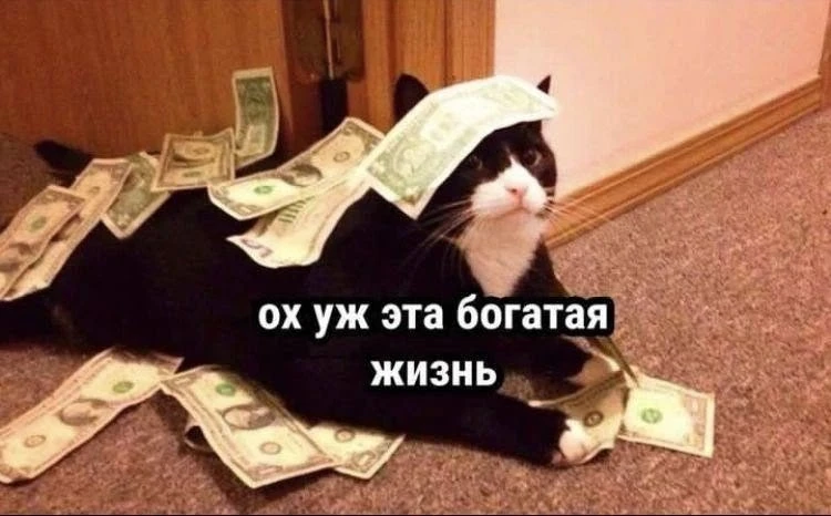Названы самые высокооплачиваемые сферы Петербурга