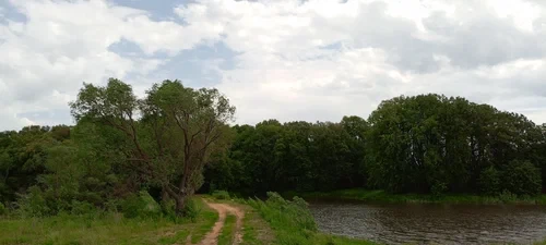🌳 А вы знали? Липовая роща у села Татарское в Дальнеконстантиновском округе получила н...