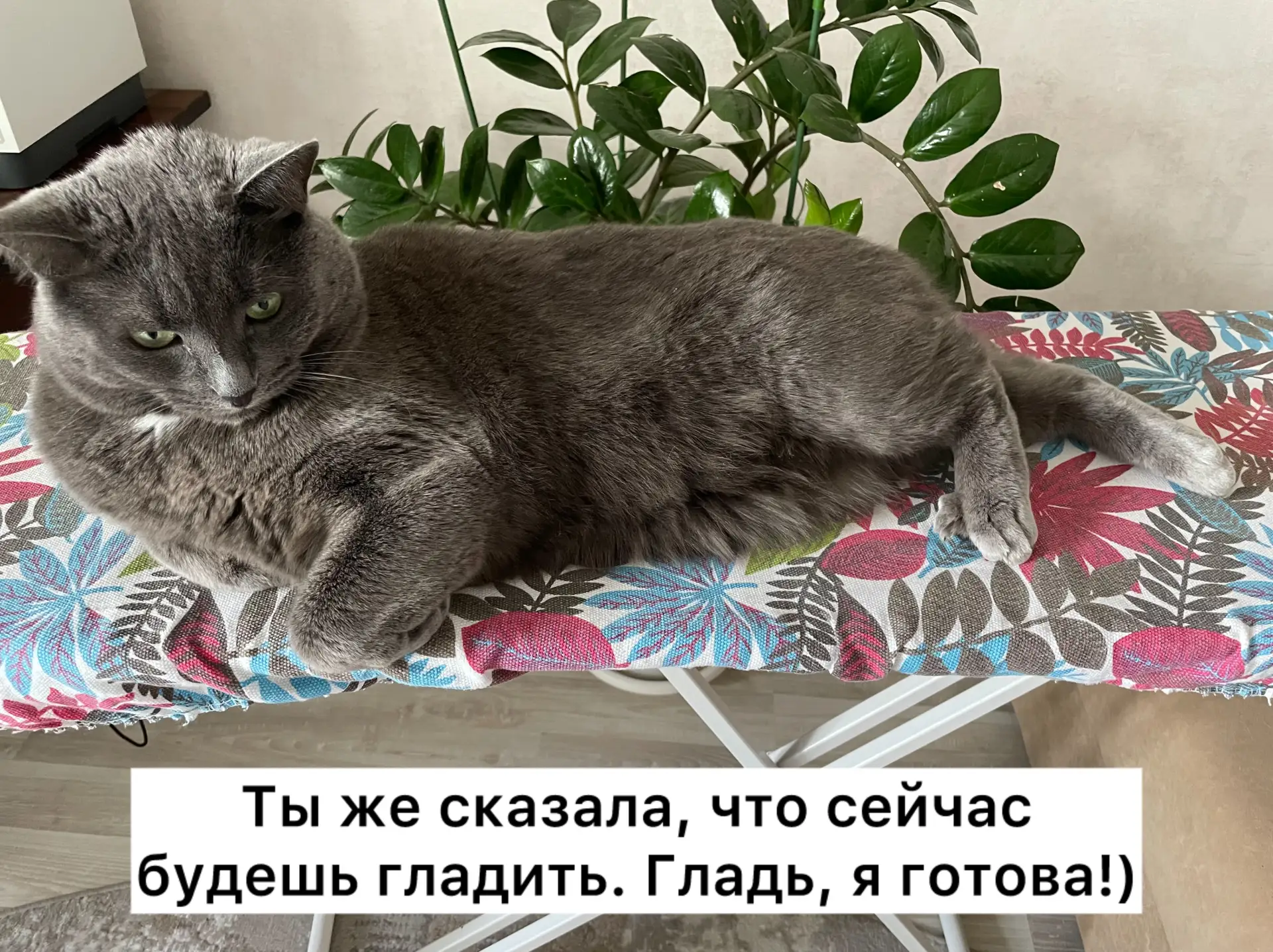 К глажке готова