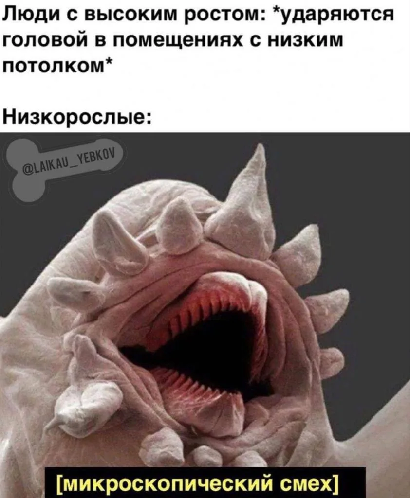 Любимая классика