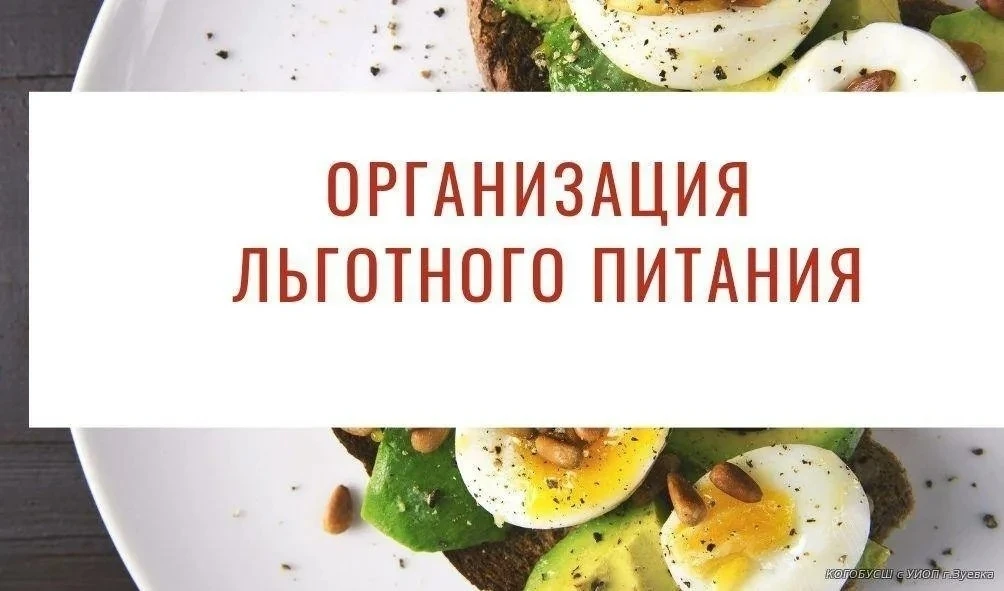Начинаем прием документов для организации питания льготной категории в 2026-27 учебном ...