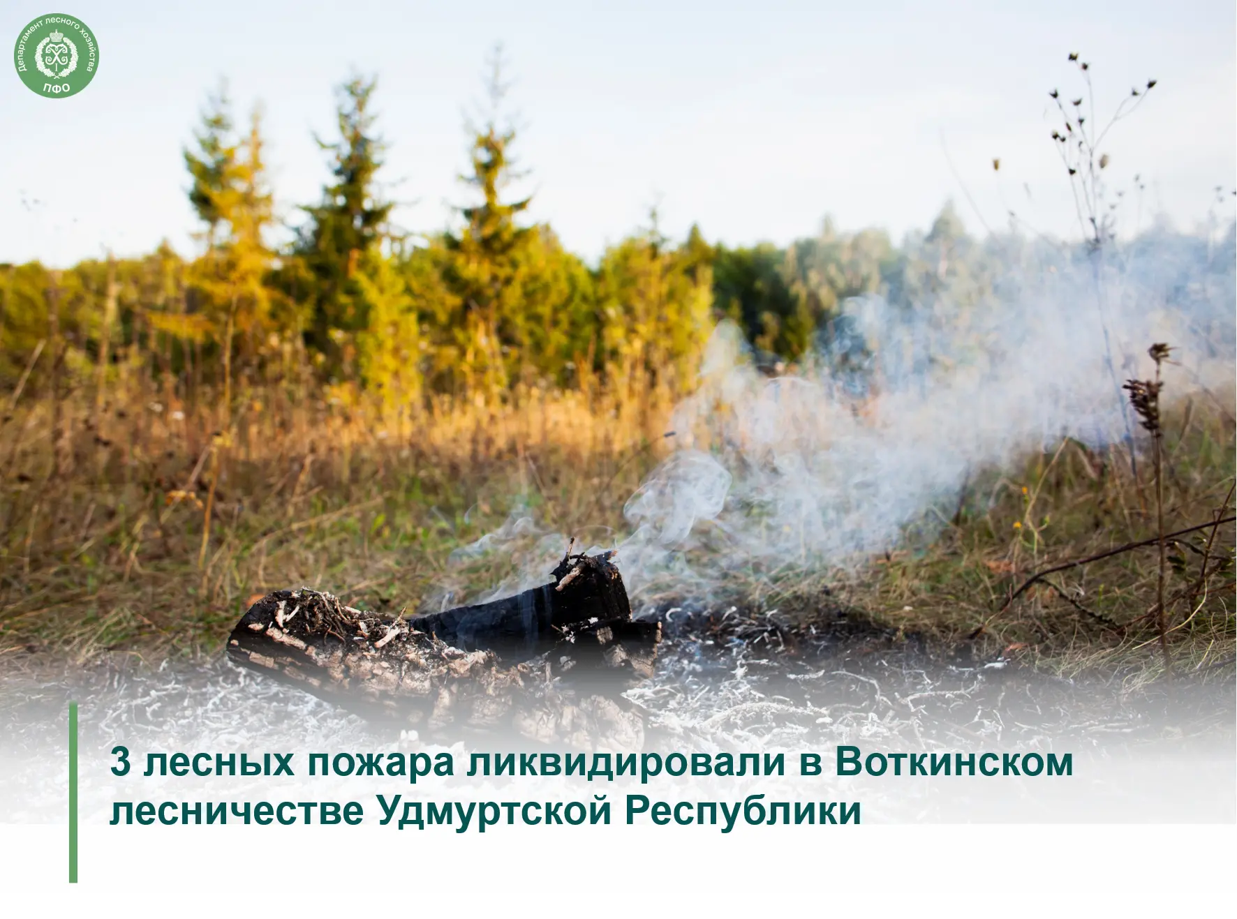 🔥 Возгорания произошли 31 августа. Их ликвидировали в первые сутки силами специализиро...