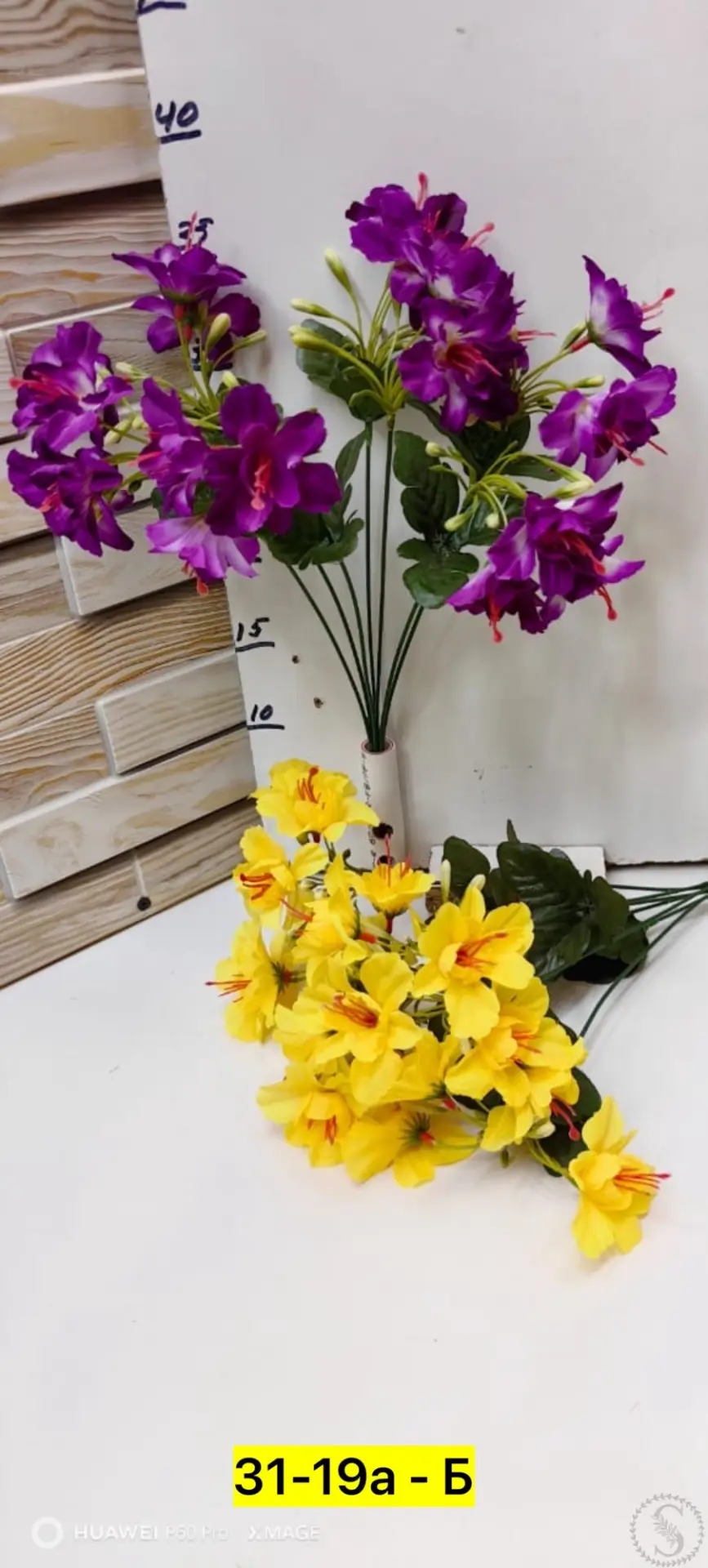 https://vk.com/photo-184814919_493609386