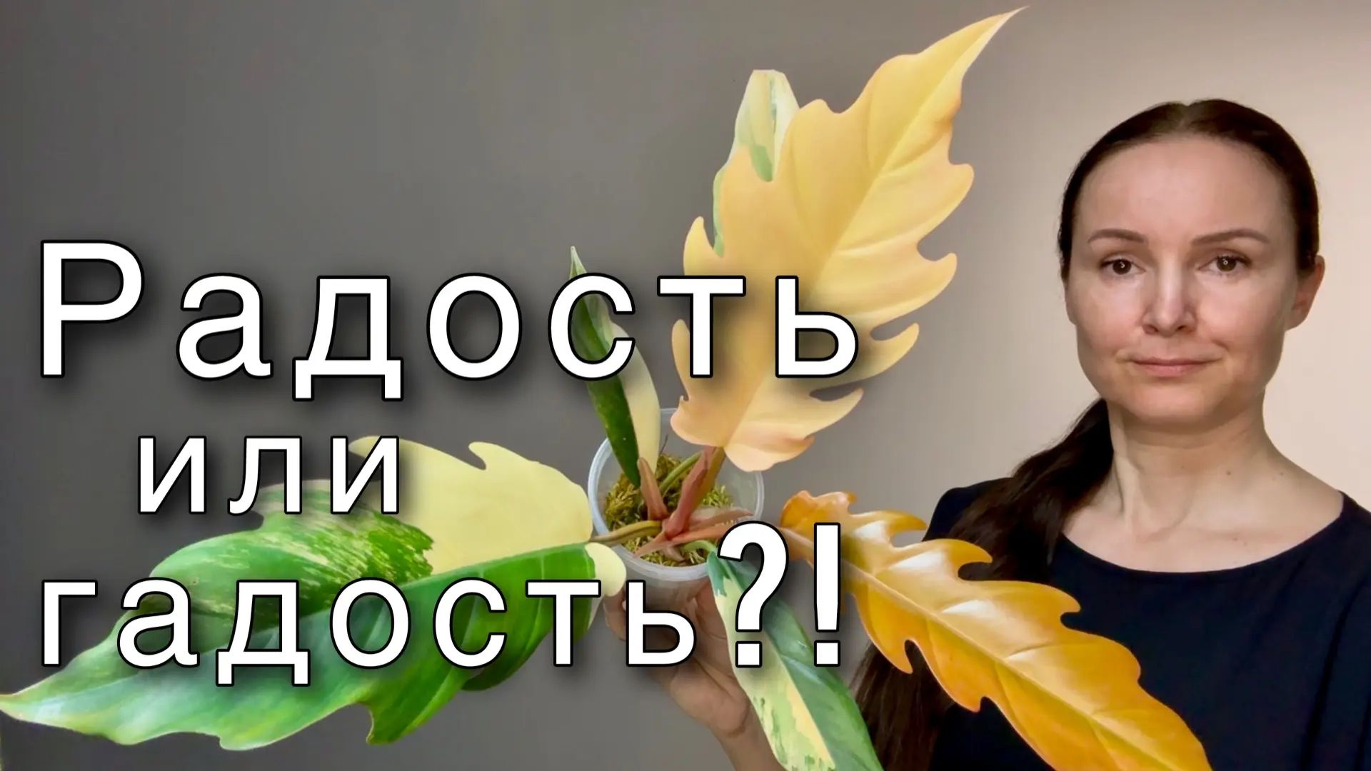 Новое видео! 👀