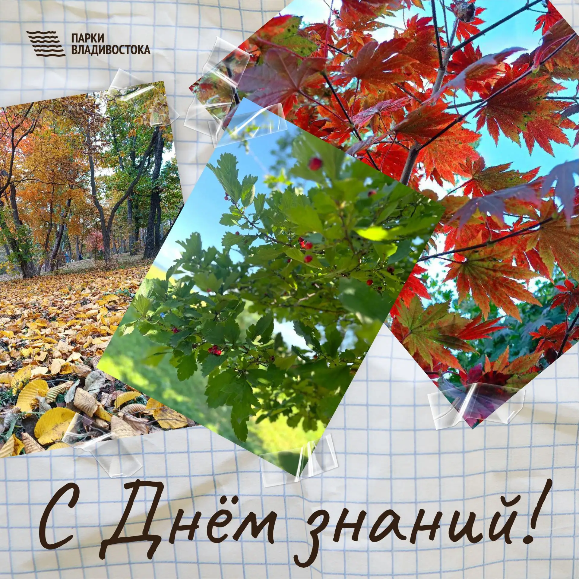 🍁 С 1 сентября! Этот день — как первый листик осени, который приносит с собой новые св...