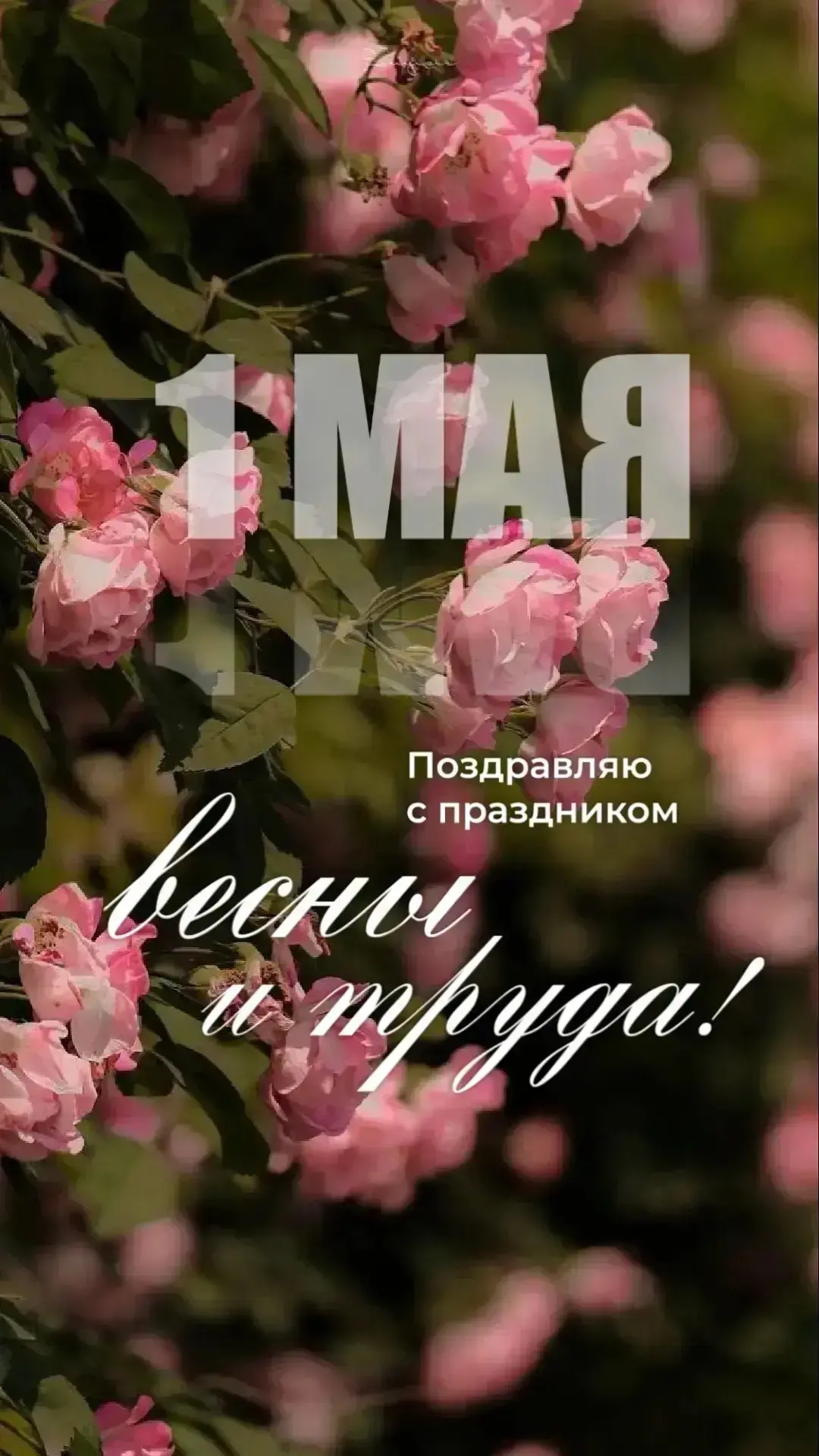 Определились с досугом на майских?