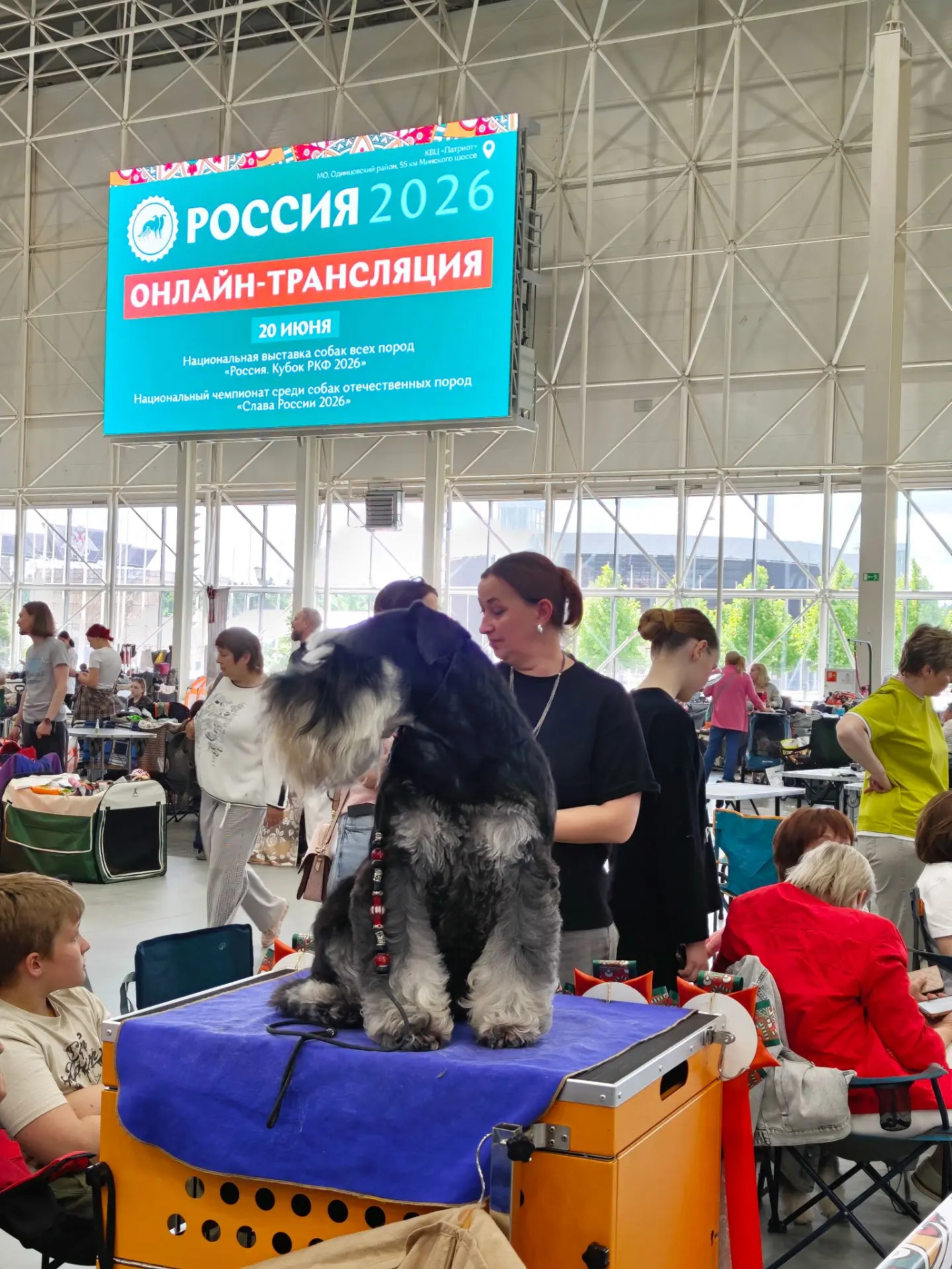 Выставка «Россия 2026» в самом разгаре! 🐾

Сегодня здесь собрано множество пород, проходят розыгрыш