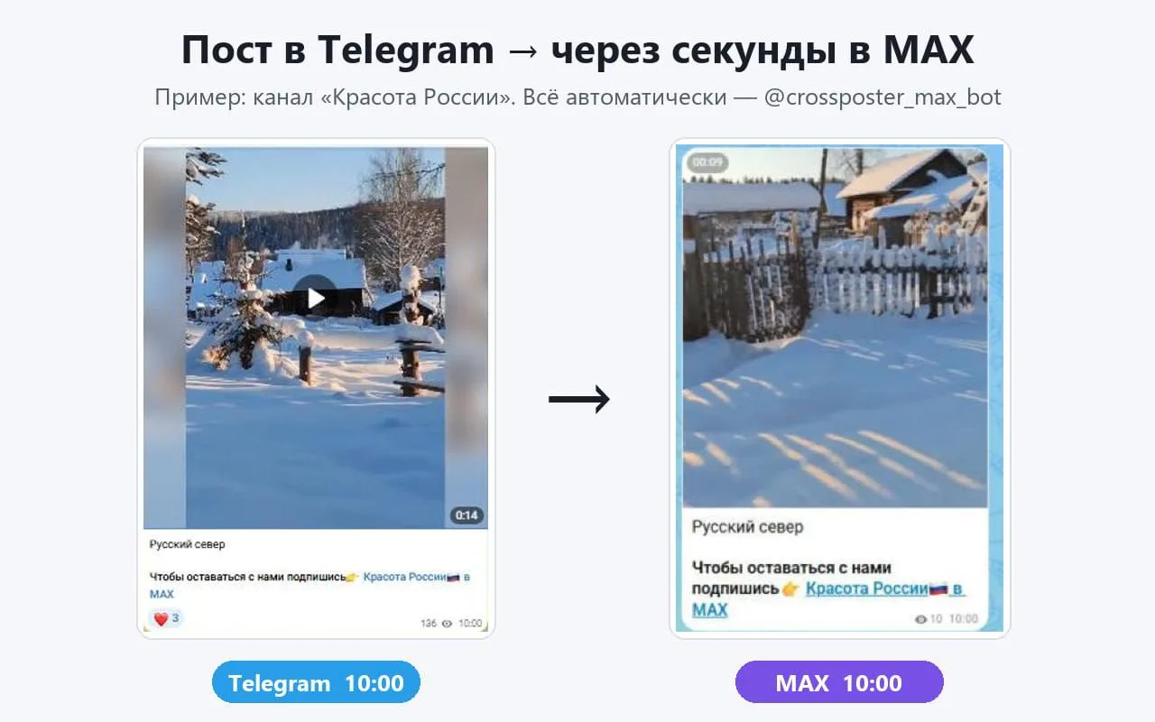 🔁 Как мы ведём сеть каналов сразу в Telegram и MAX — и не тратим на это ни минуты