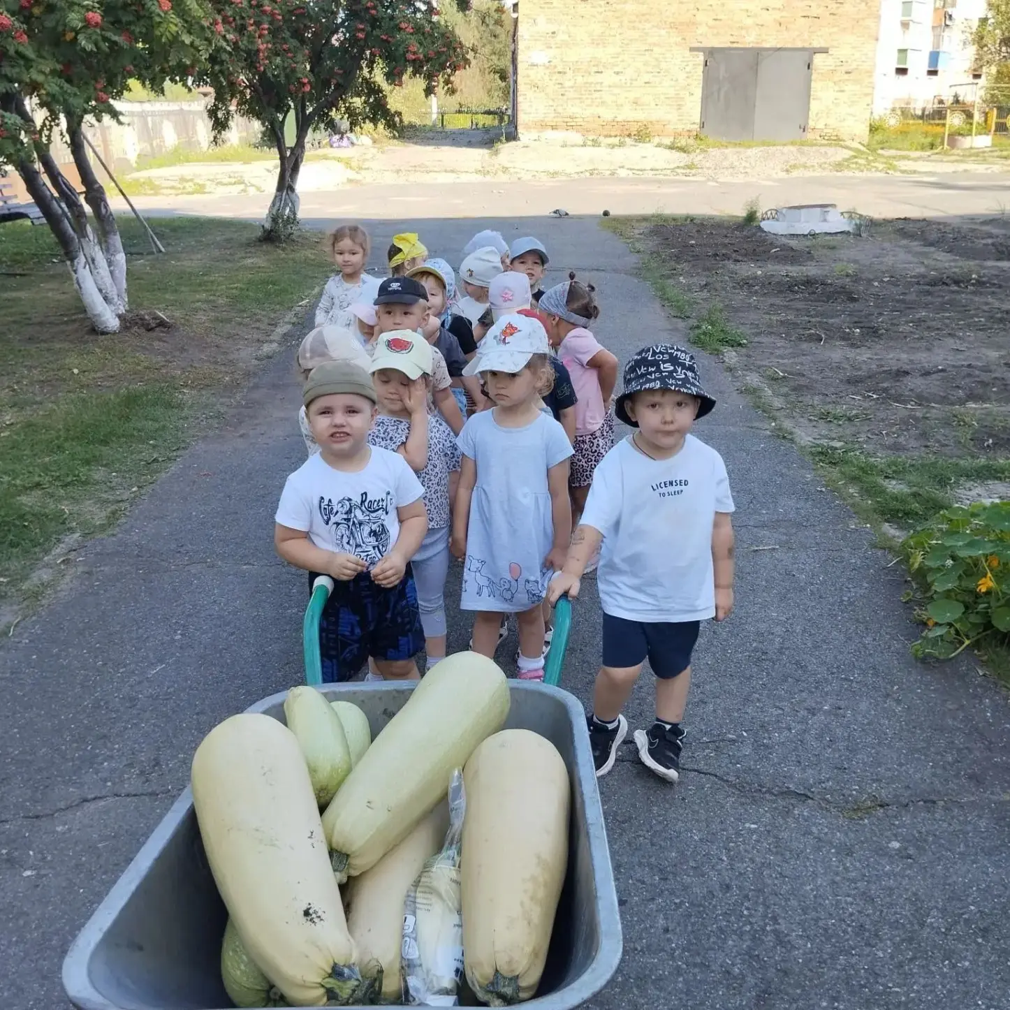 🧺 Собираем урожай! 🥒
