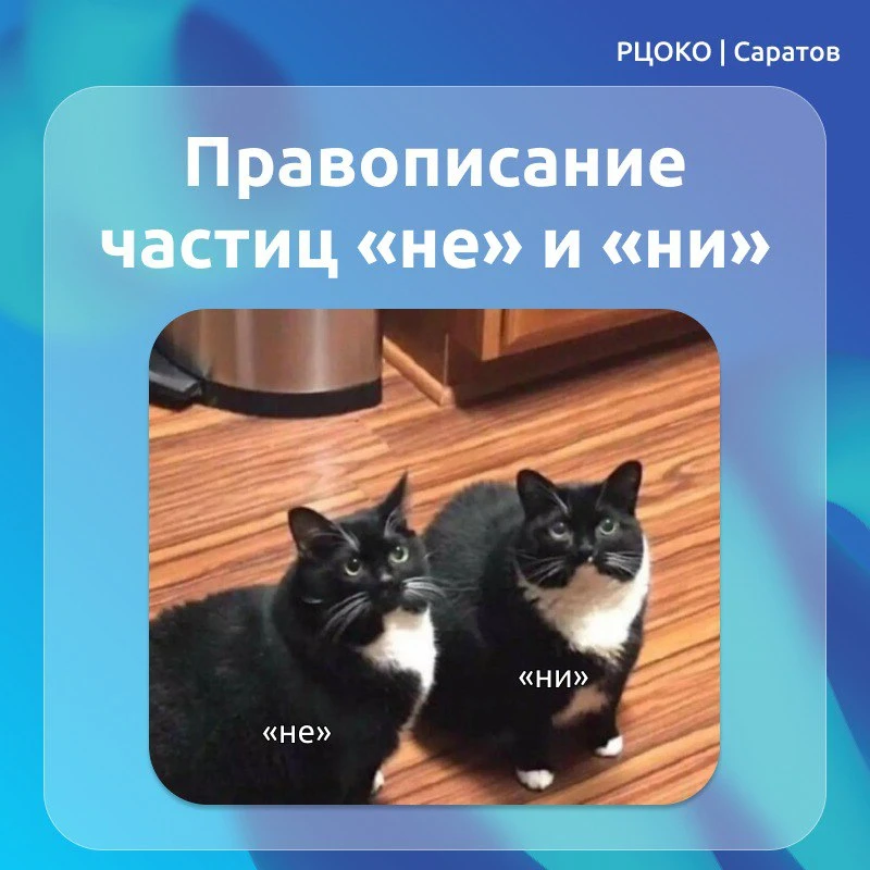 Знаете ли вы, когда частица НЕ превращается в НИ?