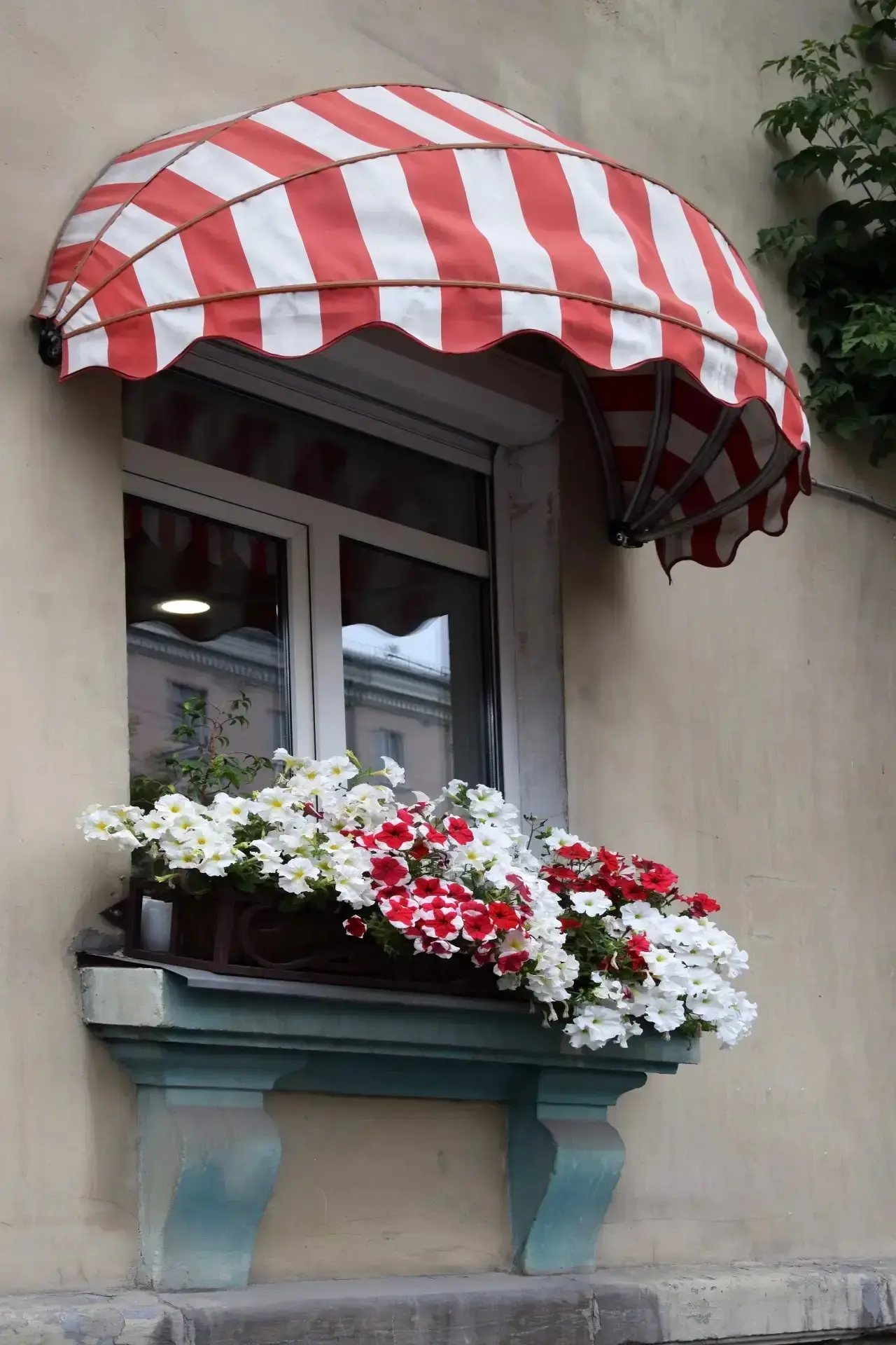 Красивого вторника, друзья🌸