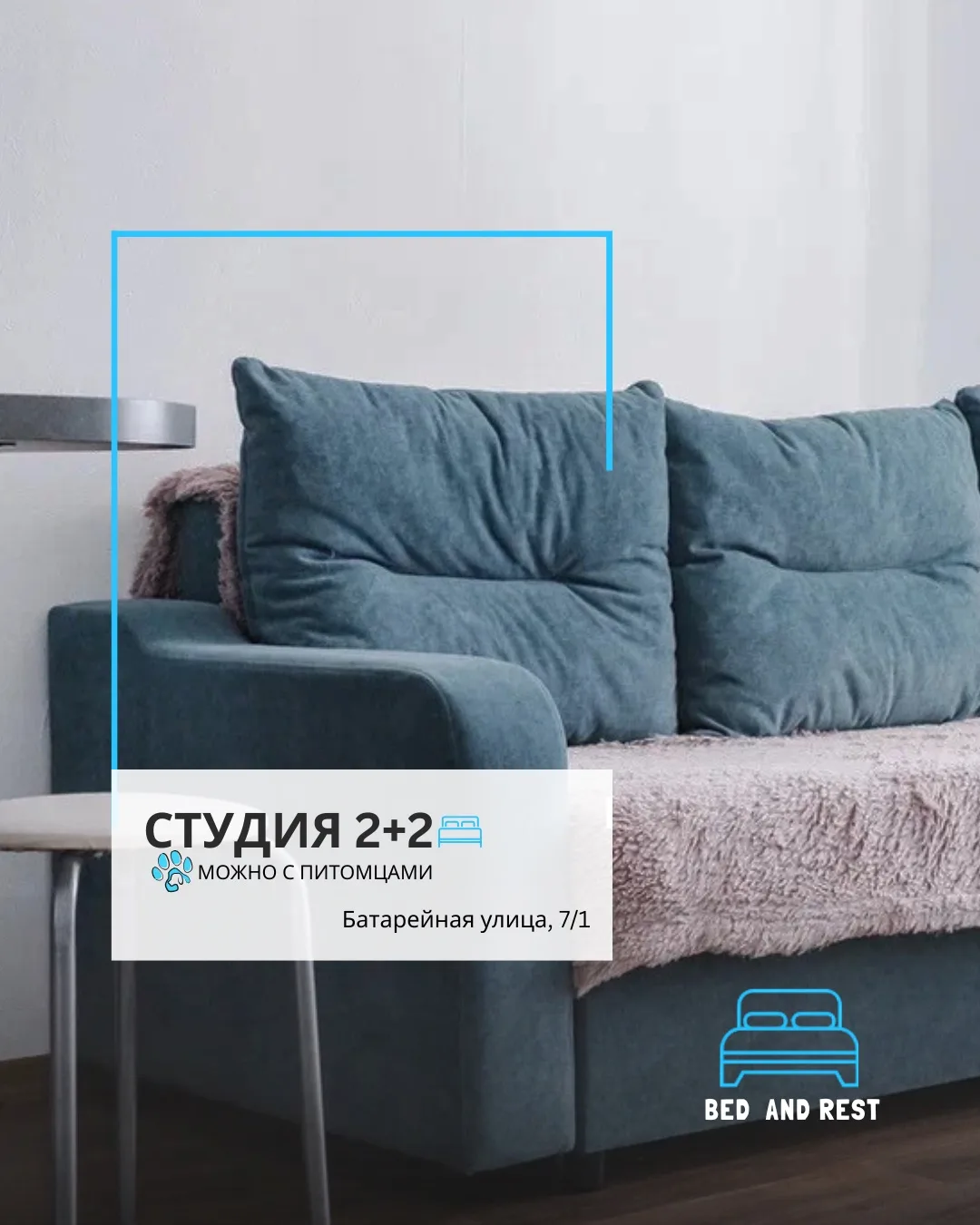 Путешествуйте с питомцами,
