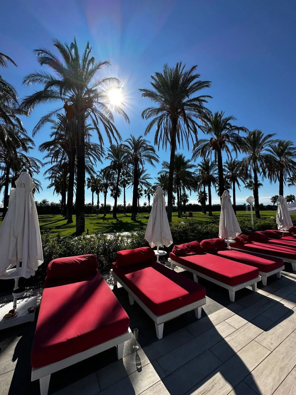 📍Adam & Eve Hotel 5*
